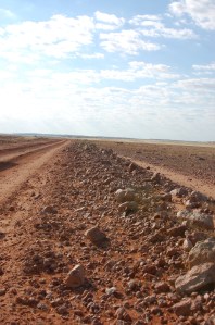 Sturt Stoney Desert