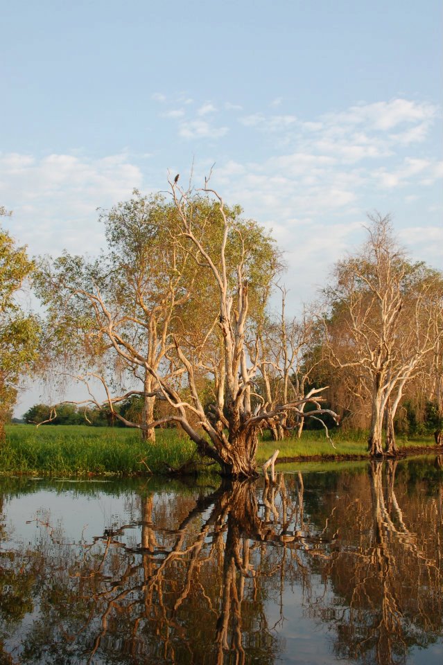 385405_10150355416394538_1247540912_n