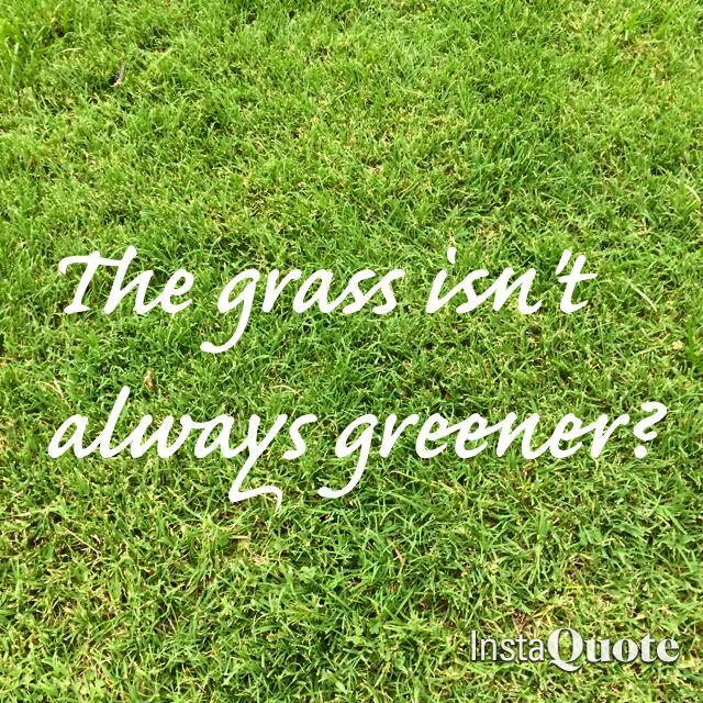 12301501_972324566140240_8452318694570986748_n