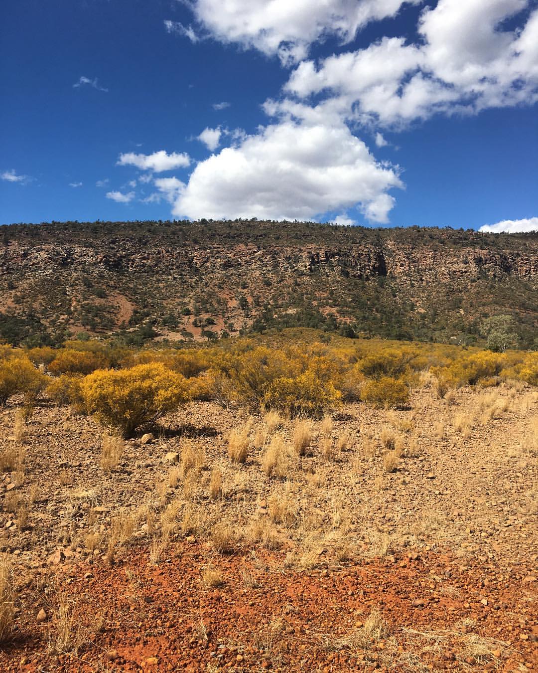 17833970_10154653155604538_6036086099208362436_o