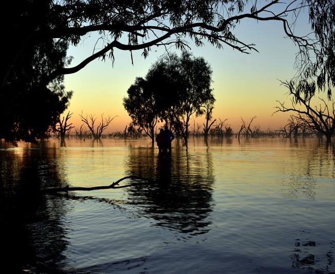 17952694_10154664611934538_6995826994714597665_n