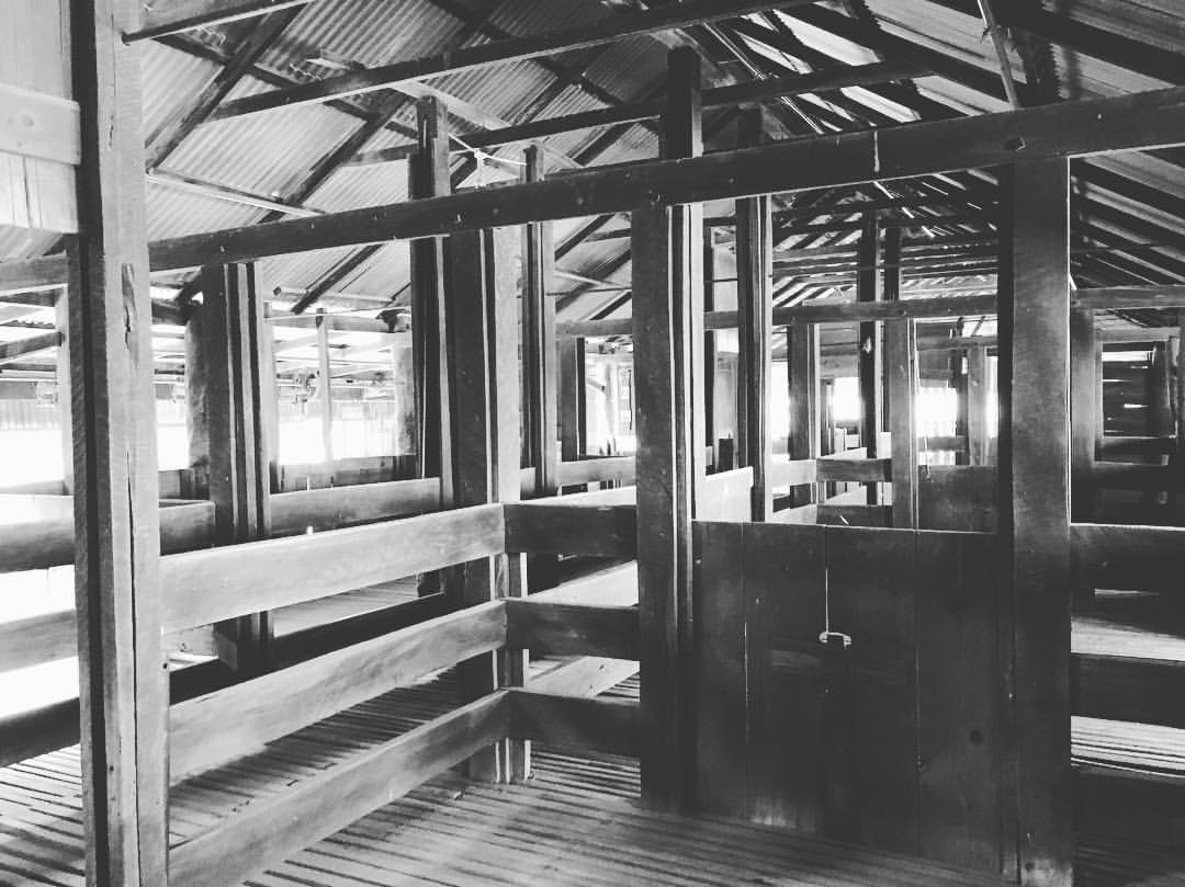 17972124_10154662352029538_1455704605374242059_o