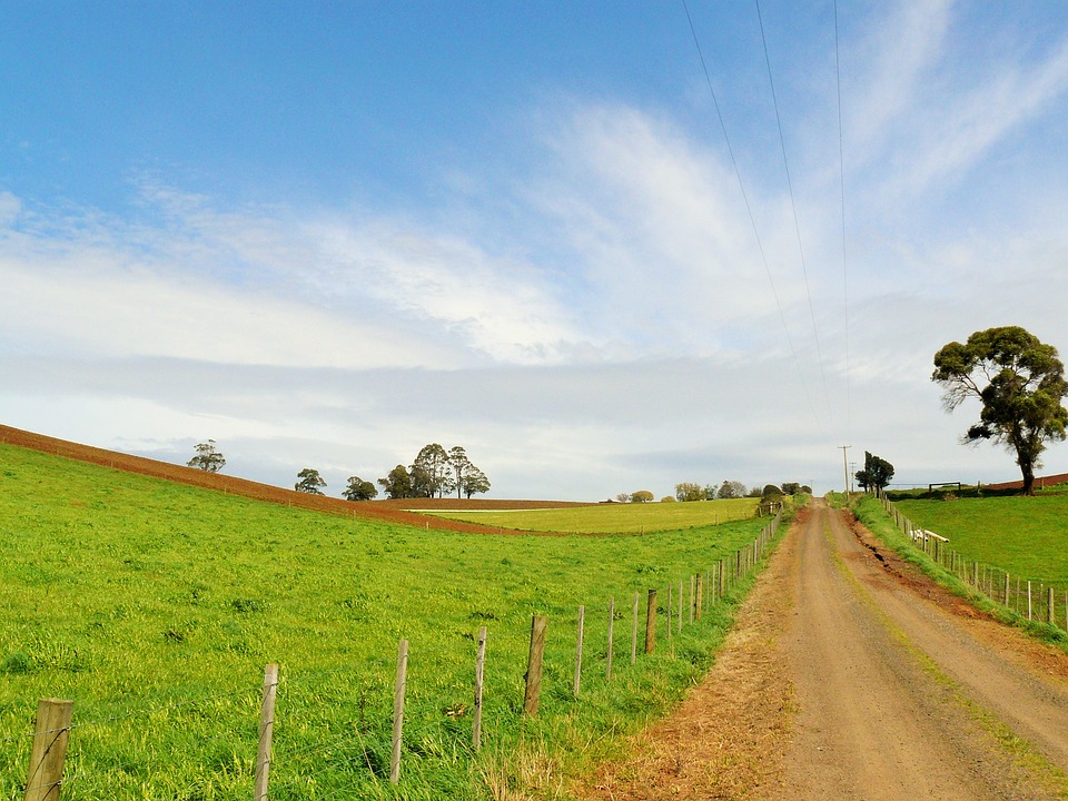 Guest Post – must sees in rural NSW – Norris Around Australia